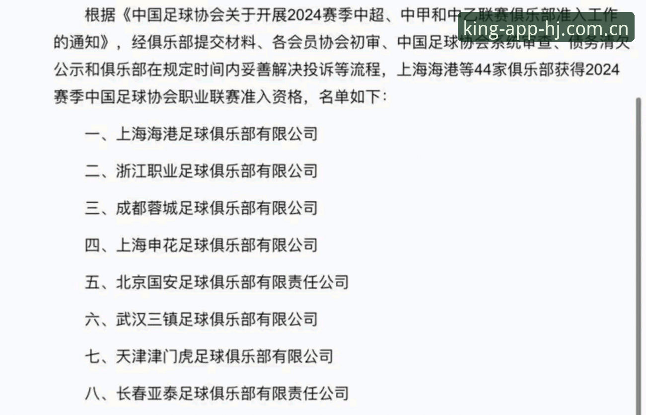 足协禁足名单深度解析：解读中国足球行业整风行动指南